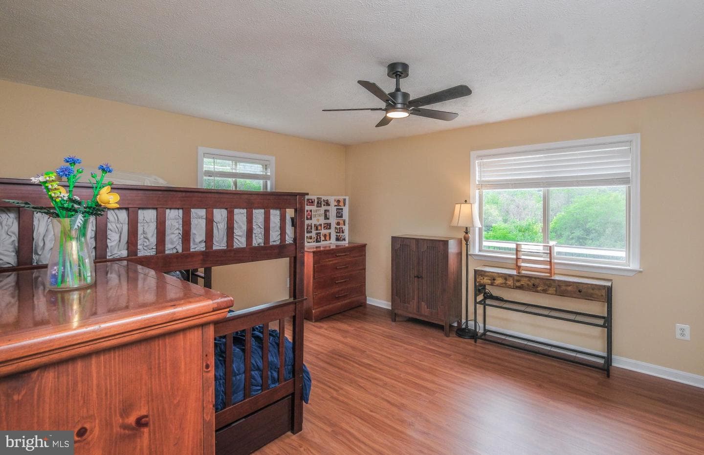 17 Owens Court photo 43