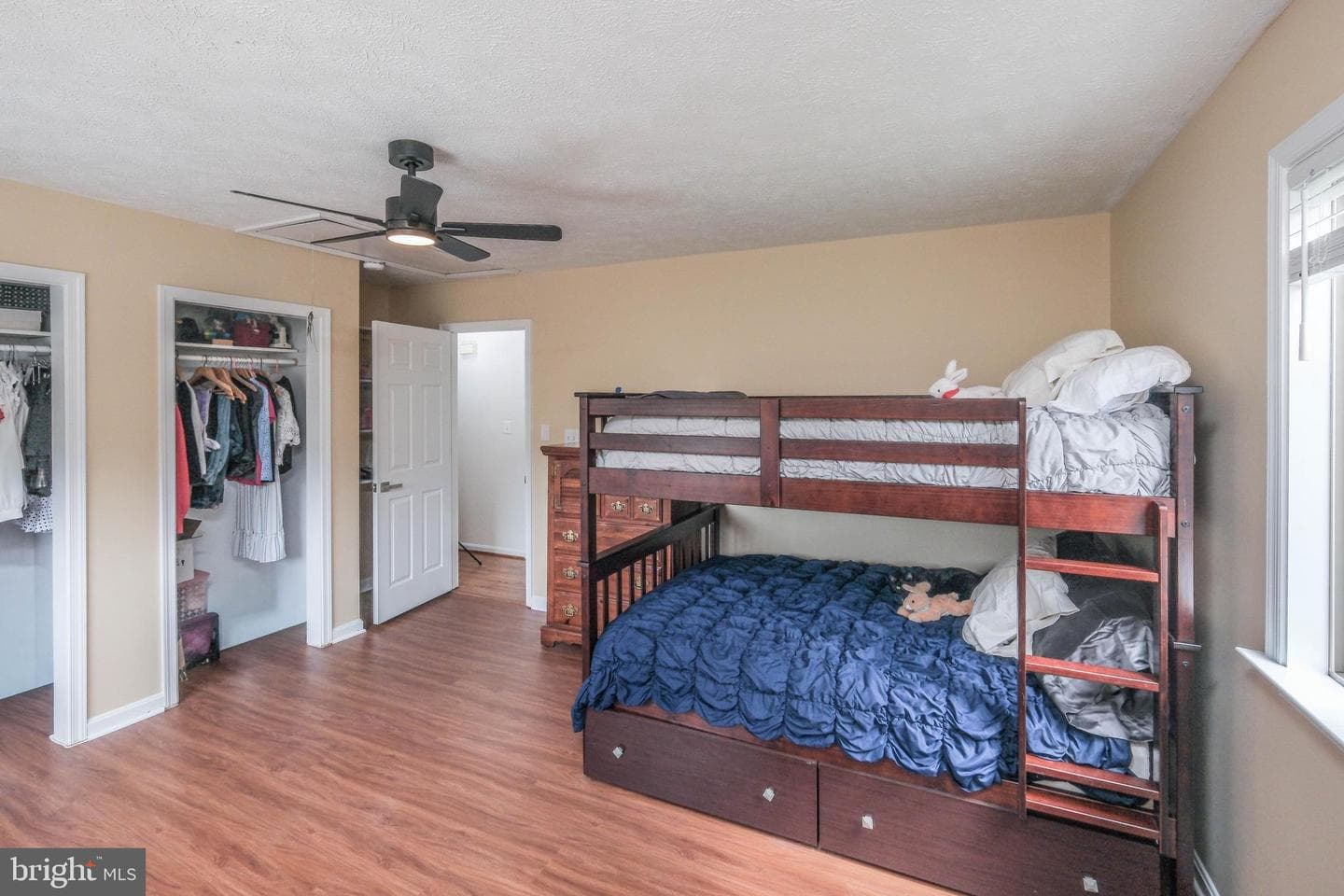 17 Owens Court photo 44
