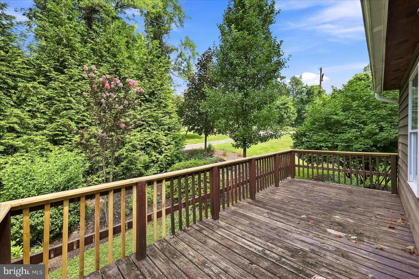 32 Parnassus Road photo 47