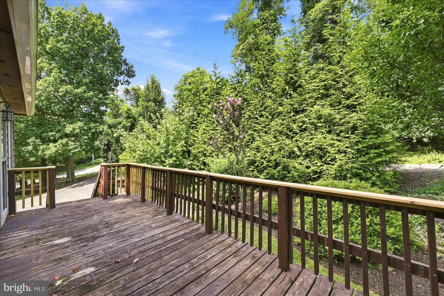 32 Parnassus Road photo 49