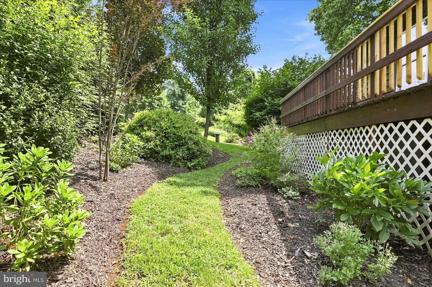 32 Parnassus Road photo 50