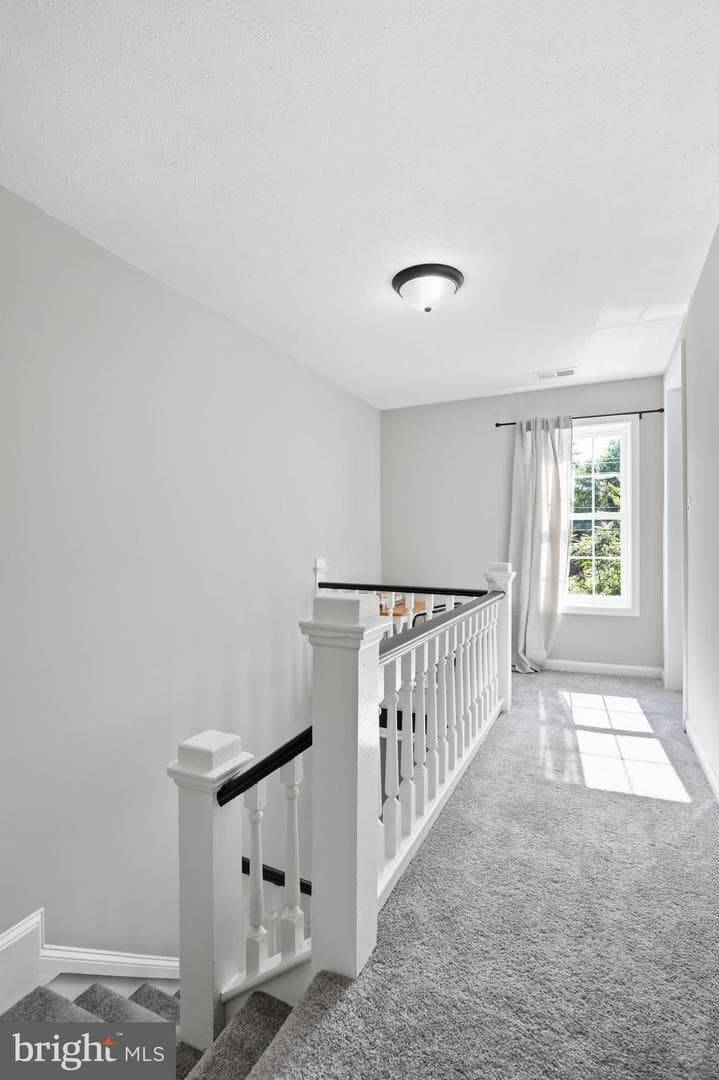 346 Cloud Street photo 40