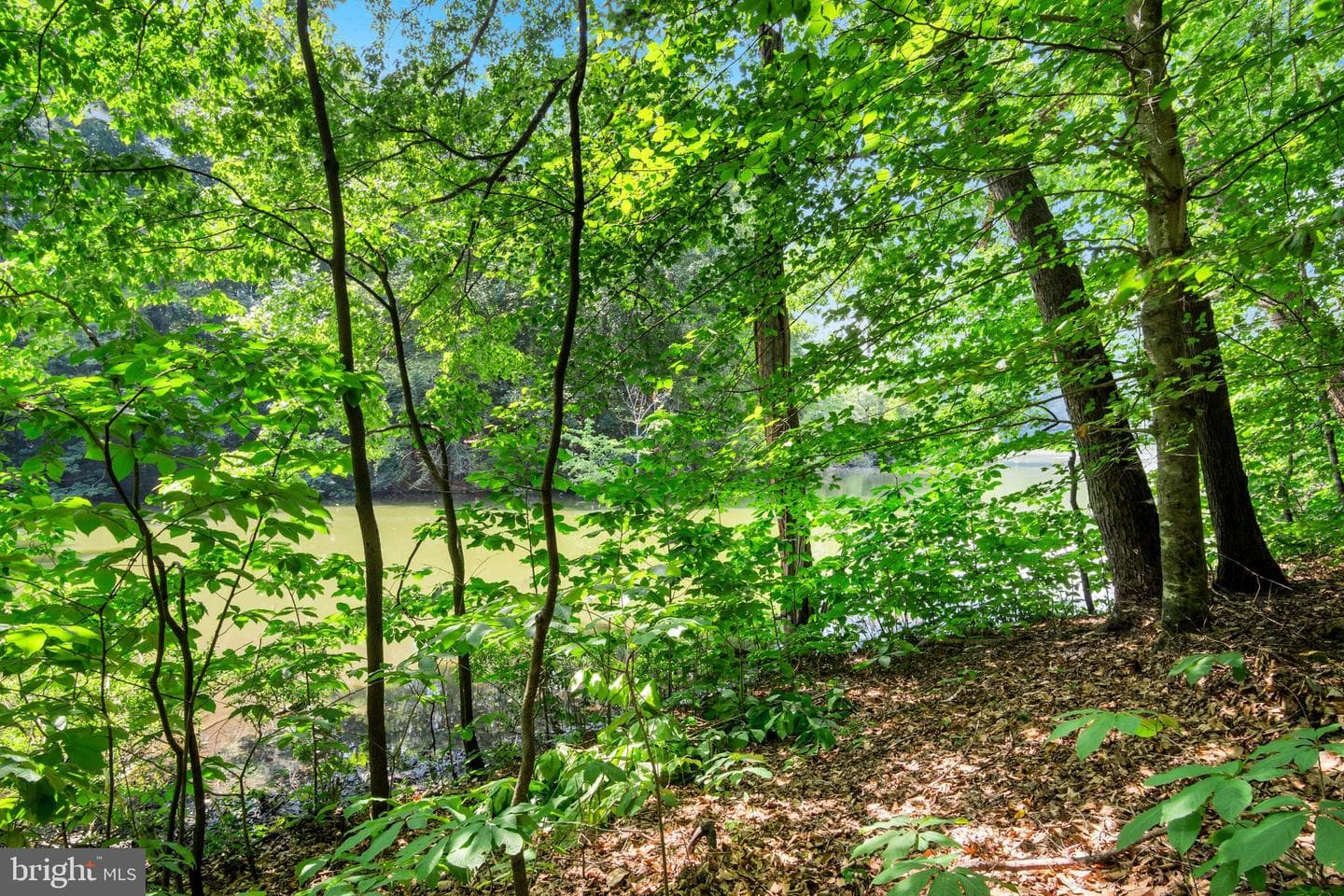 247 E Queens Drive photo 43