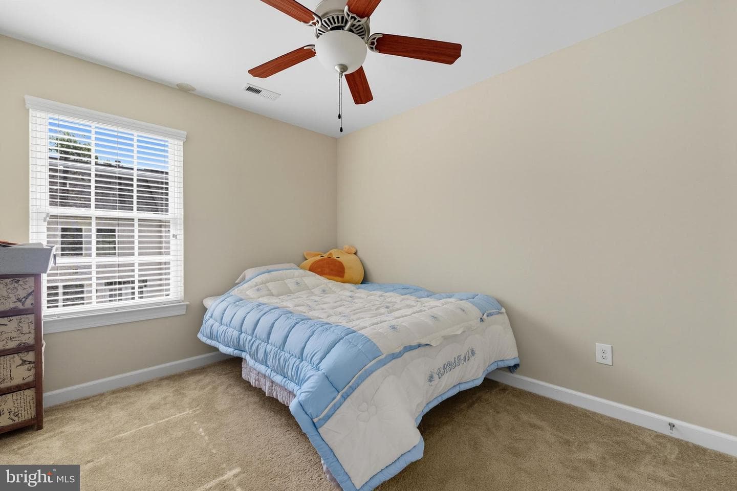 112 Peyton Randolph Drive photo 20