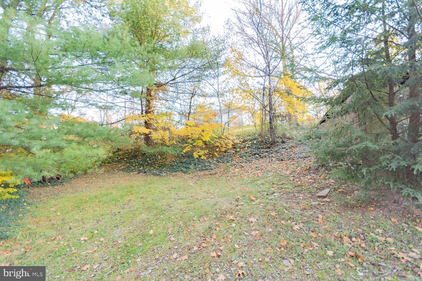 119 Stehley Lane photo 63