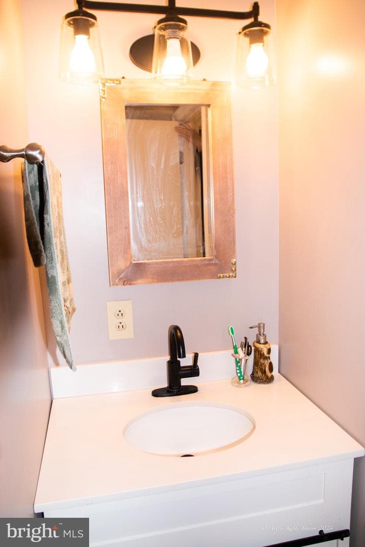 254 Pileated Woodpecker Lane photo 11
