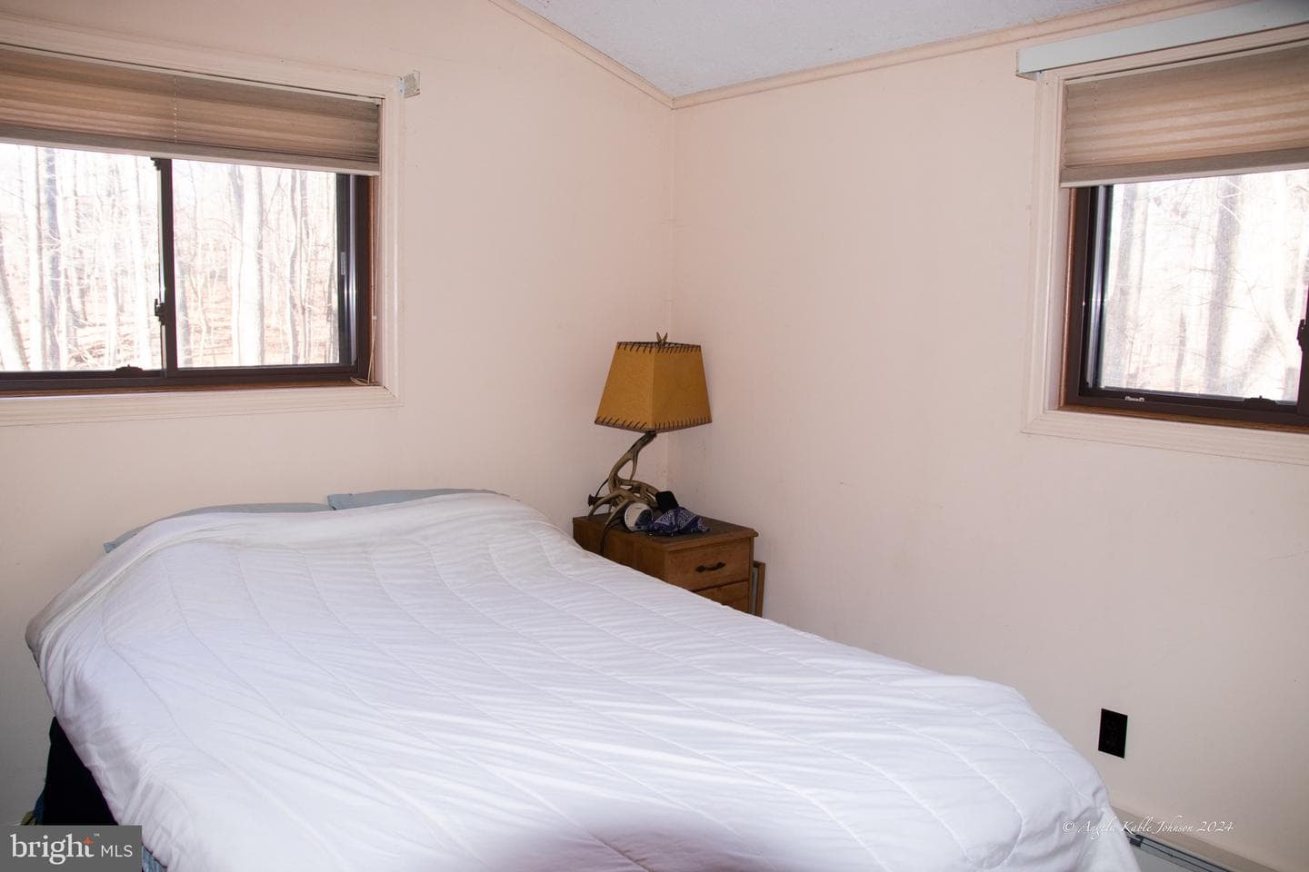 254 Pileated Woodpecker Lane photo 13