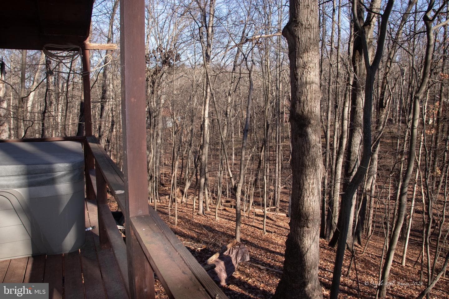 254 Pileated Woodpecker Lane photo 15