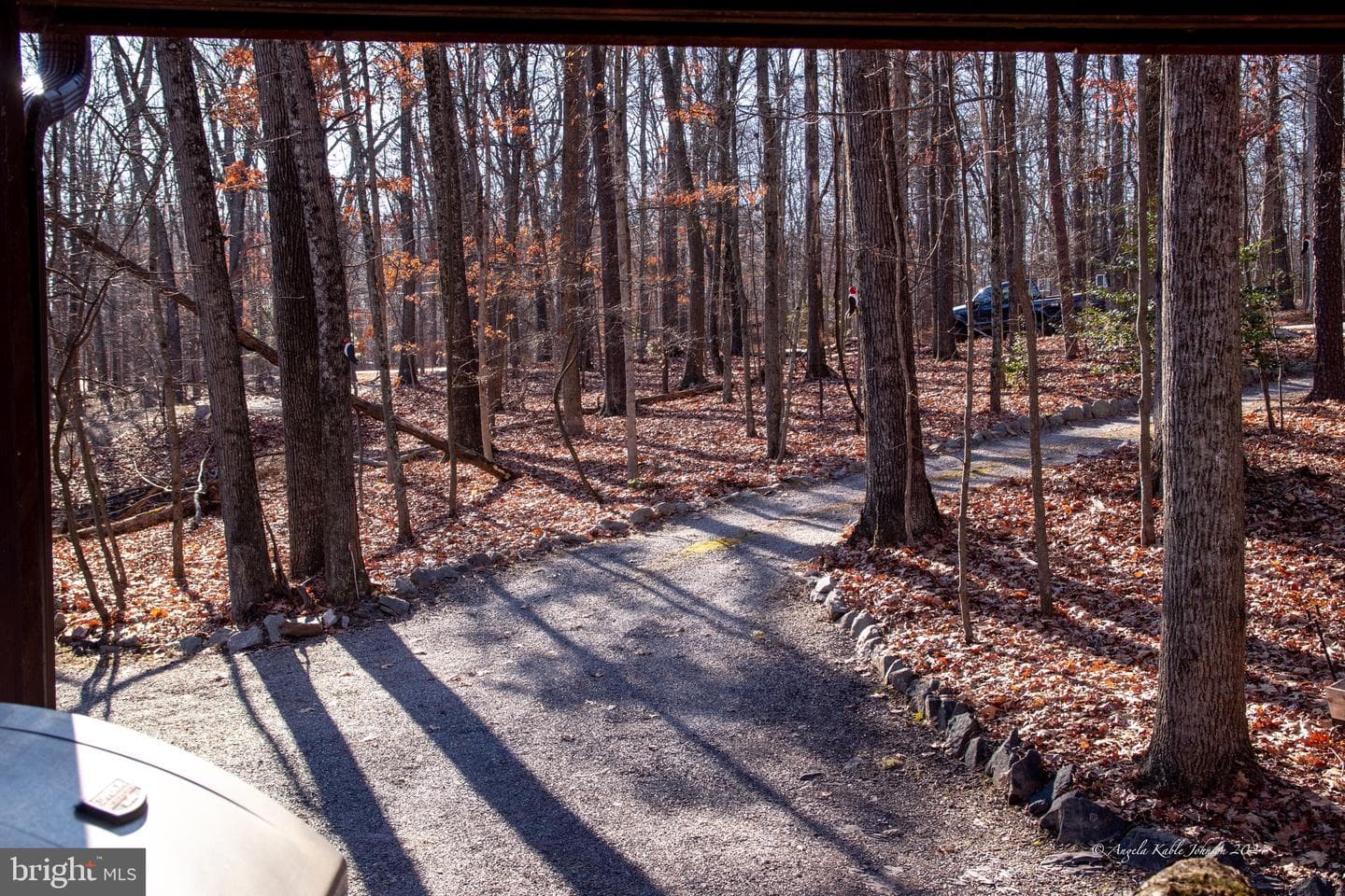 254 Pileated Woodpecker Lane photo 19
