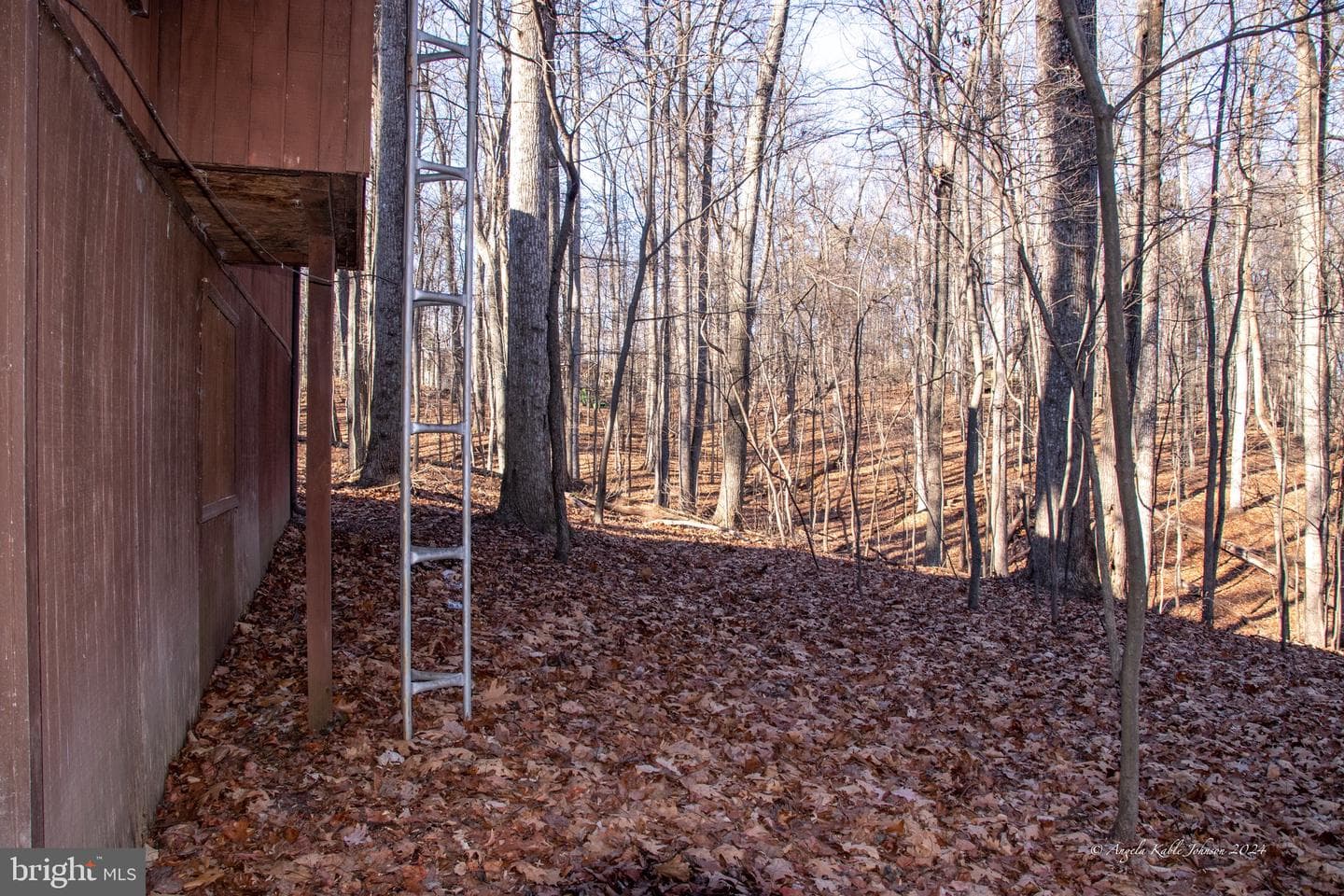 254 Pileated Woodpecker Lane photo 22
