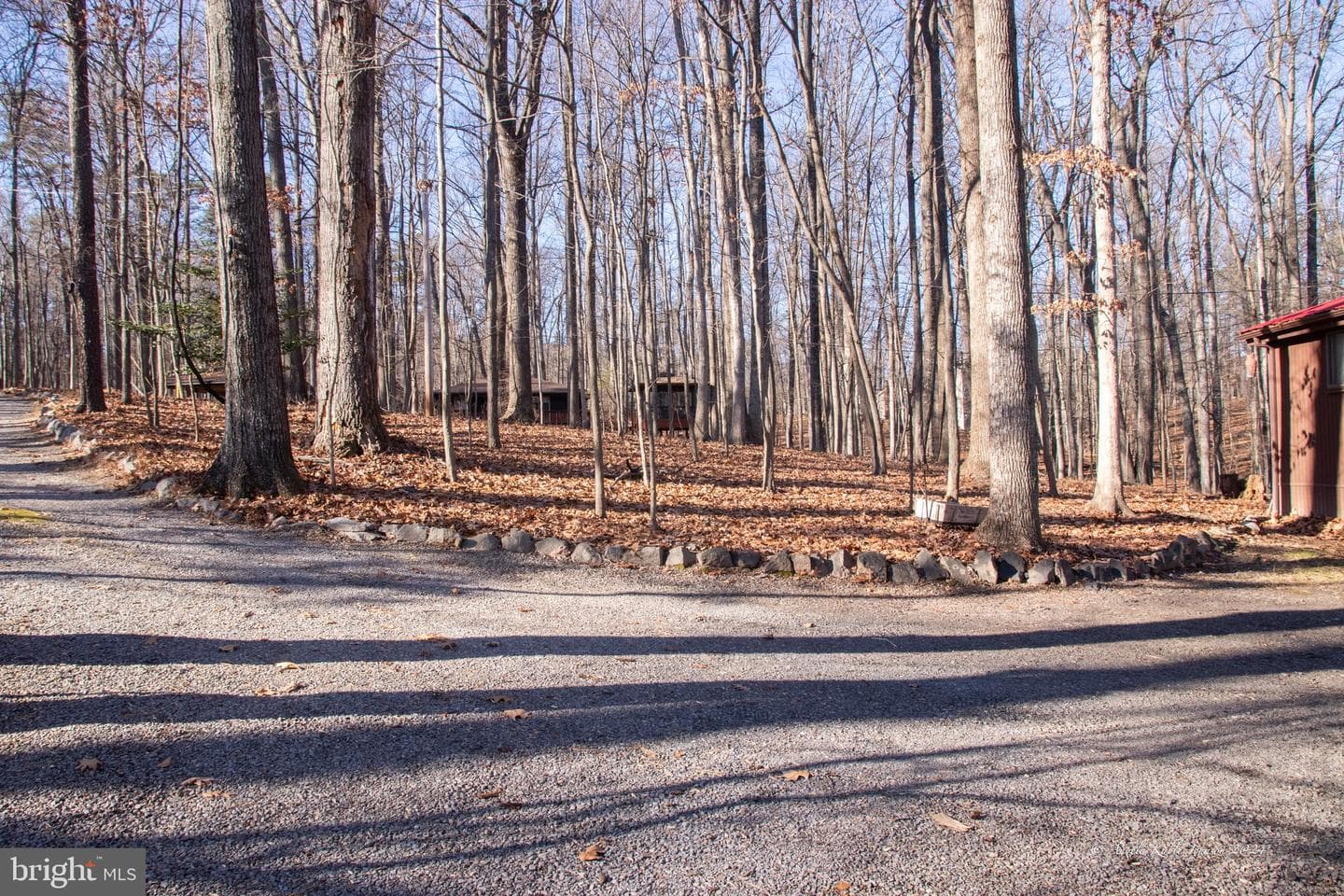 254 Pileated Woodpecker Lane photo 3