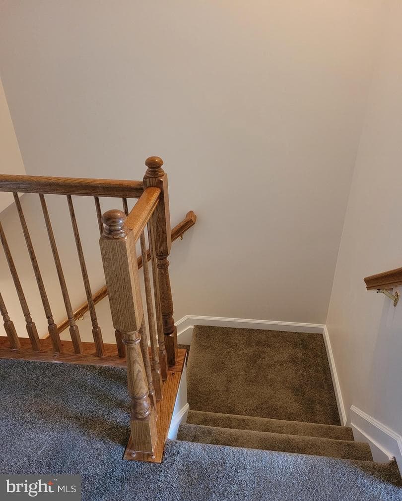 67 Babylonica Court photo 19