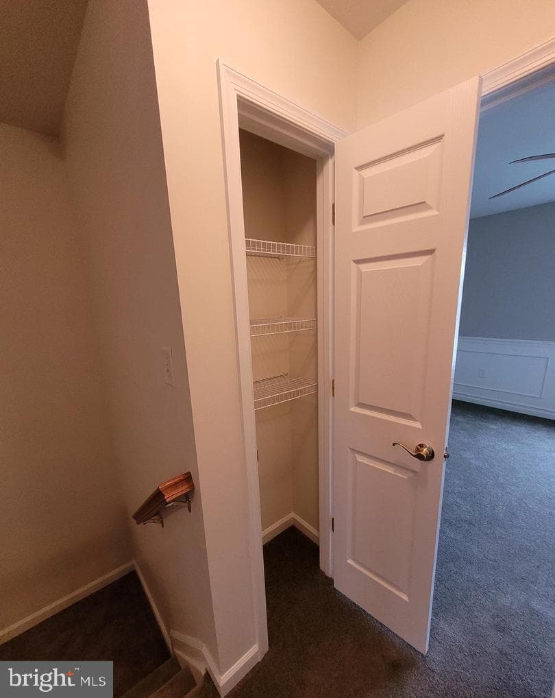 67 Babylonica Court photo 20