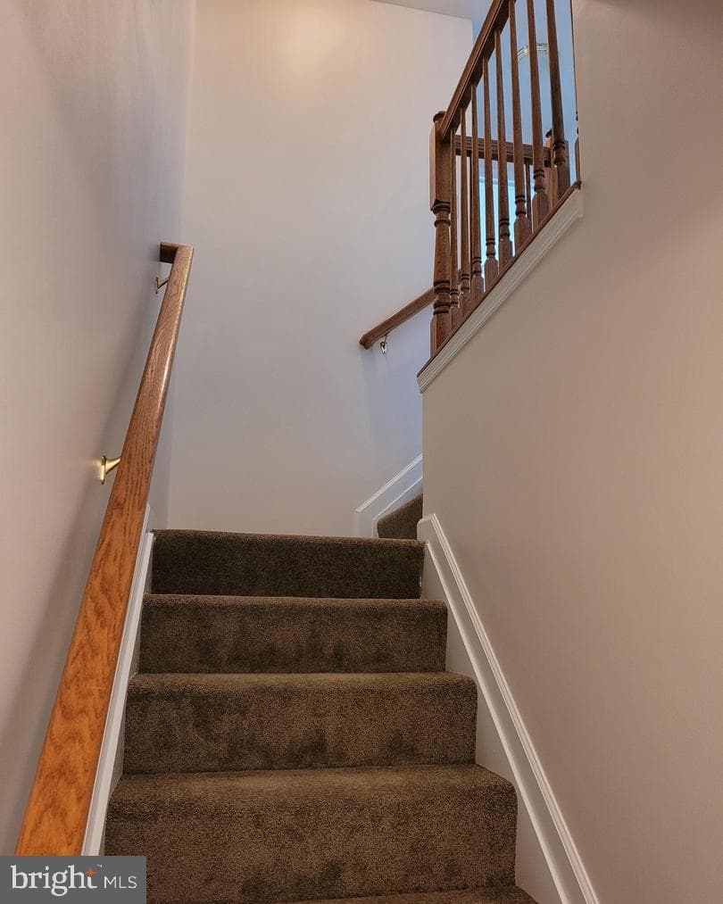 67 Babylonica Court photo 21