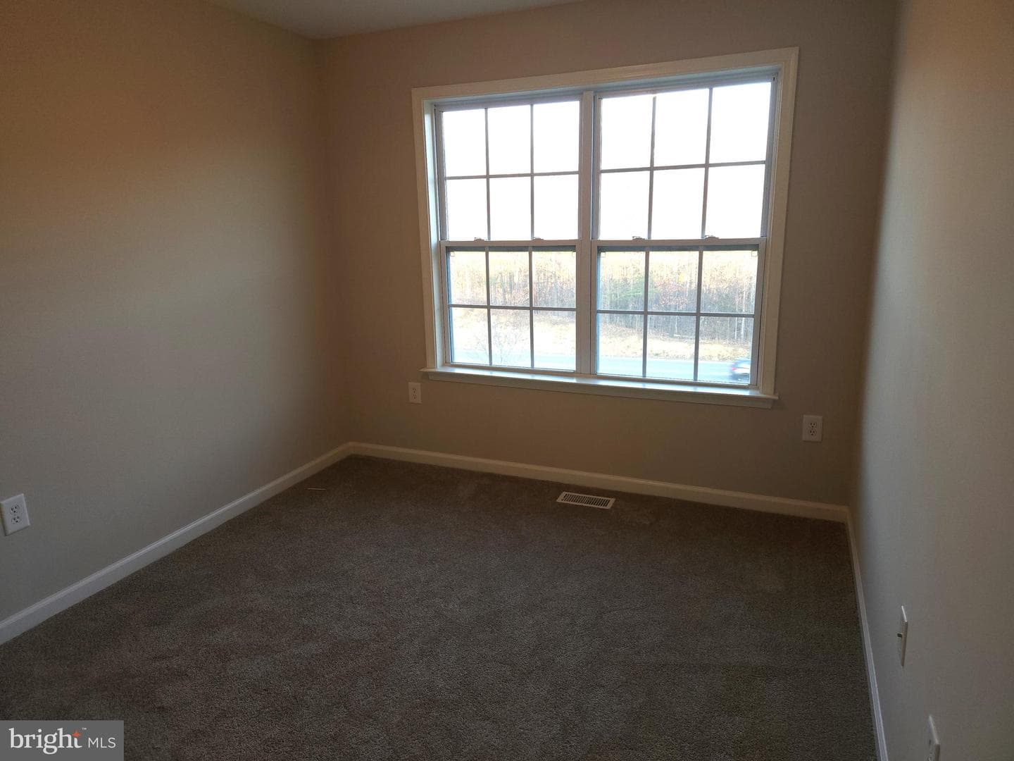67 Babylonica Court photo 27