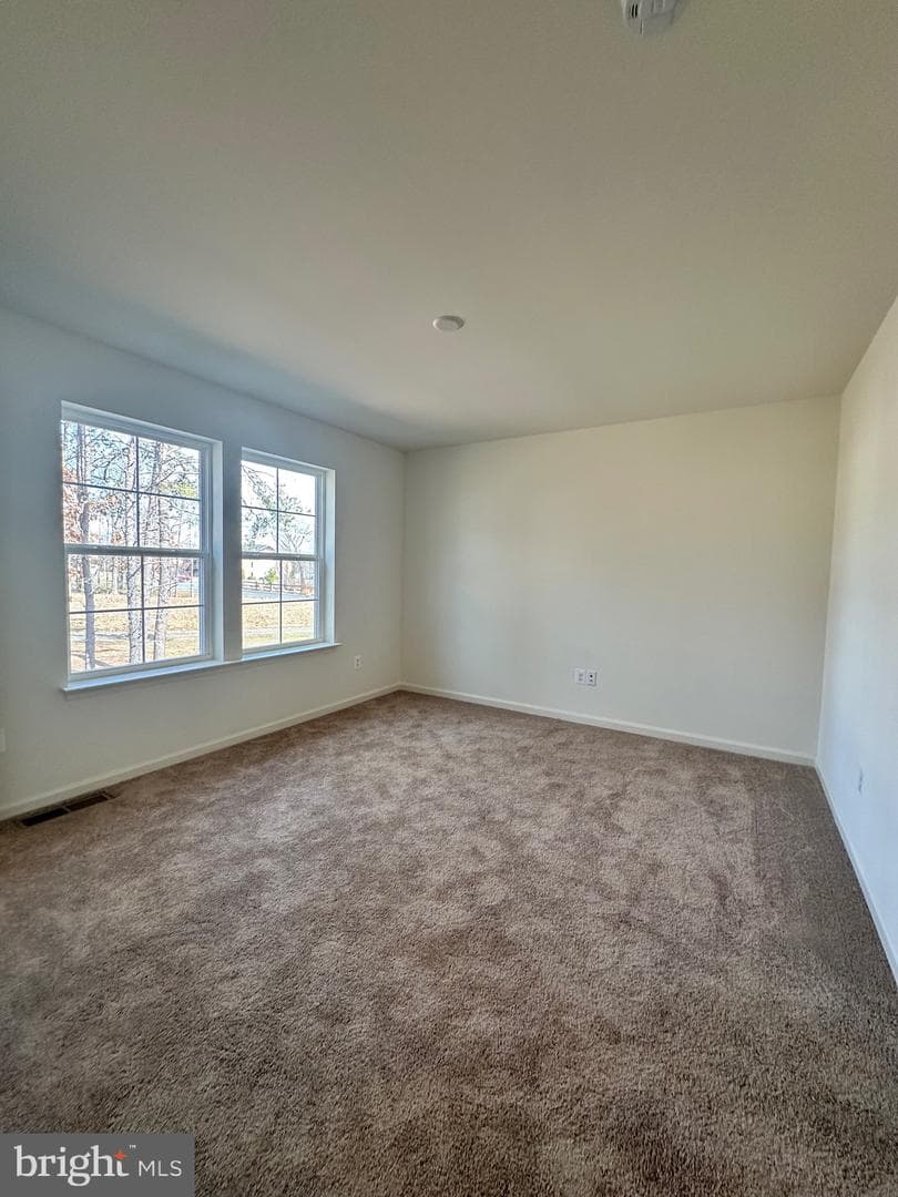 28 Pitch Pine Ct photo 18