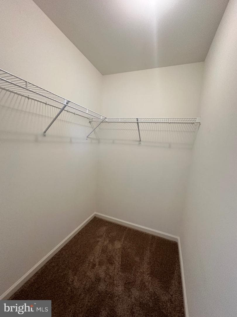 28 Pitch Pine Ct photo 21