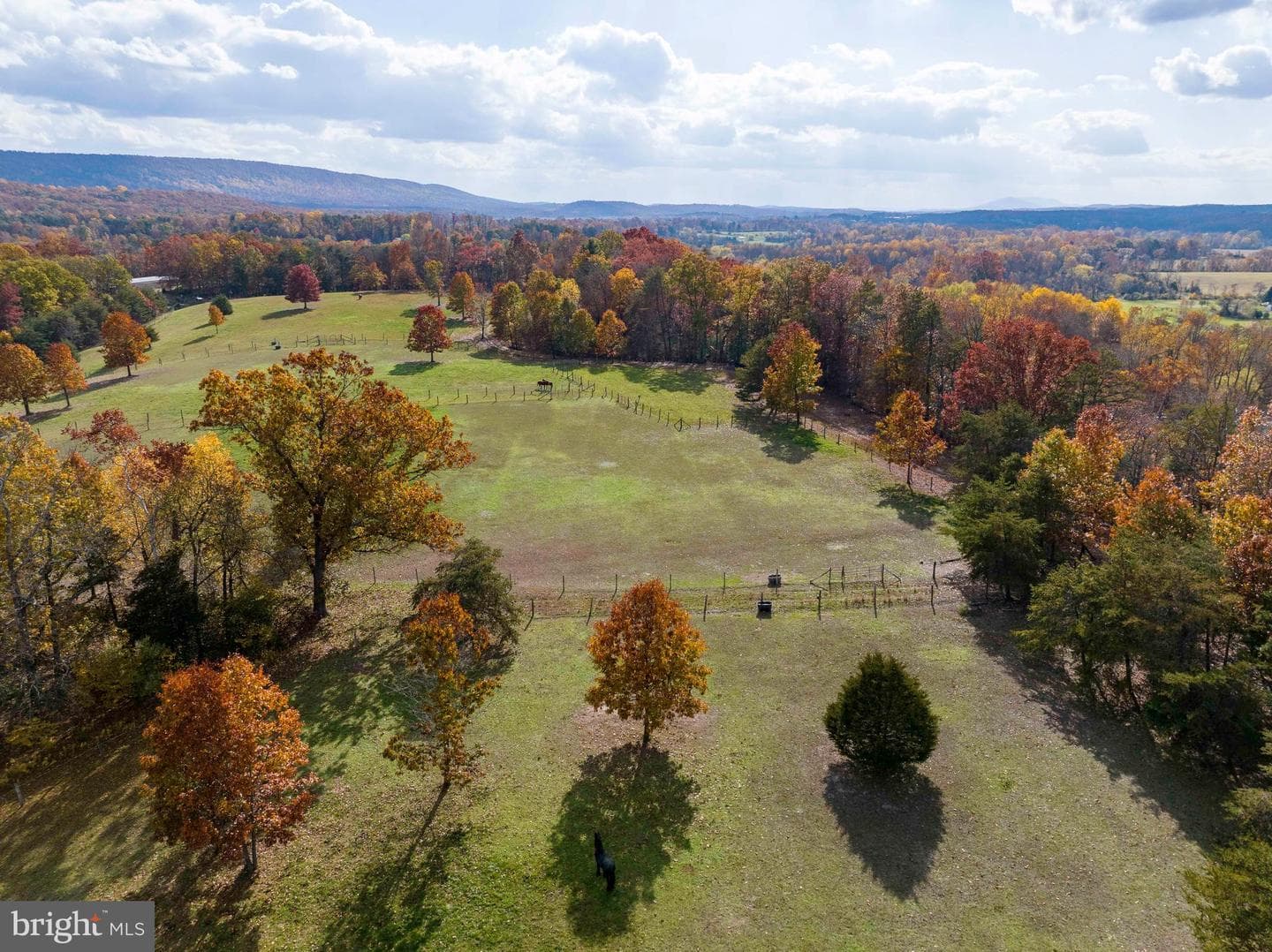 595 E Ganotown Road photo 122