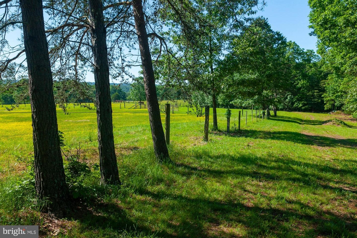 595 E Ganotown Road photo 79