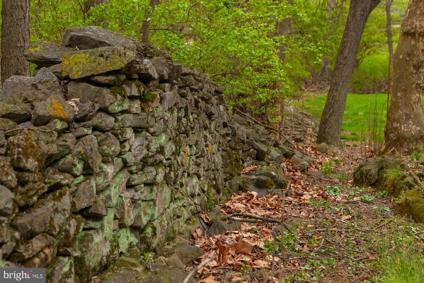 123 Old Mill Road photo 72