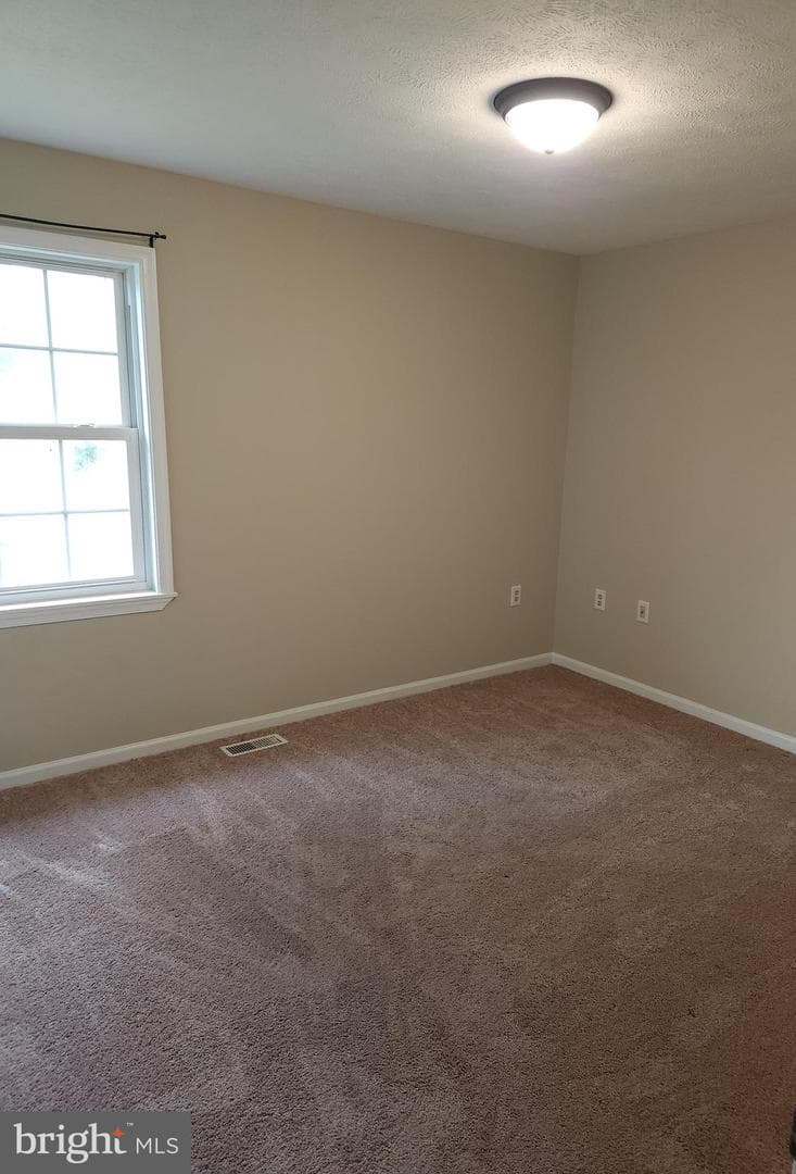 216 Mimosa Drive photo 19