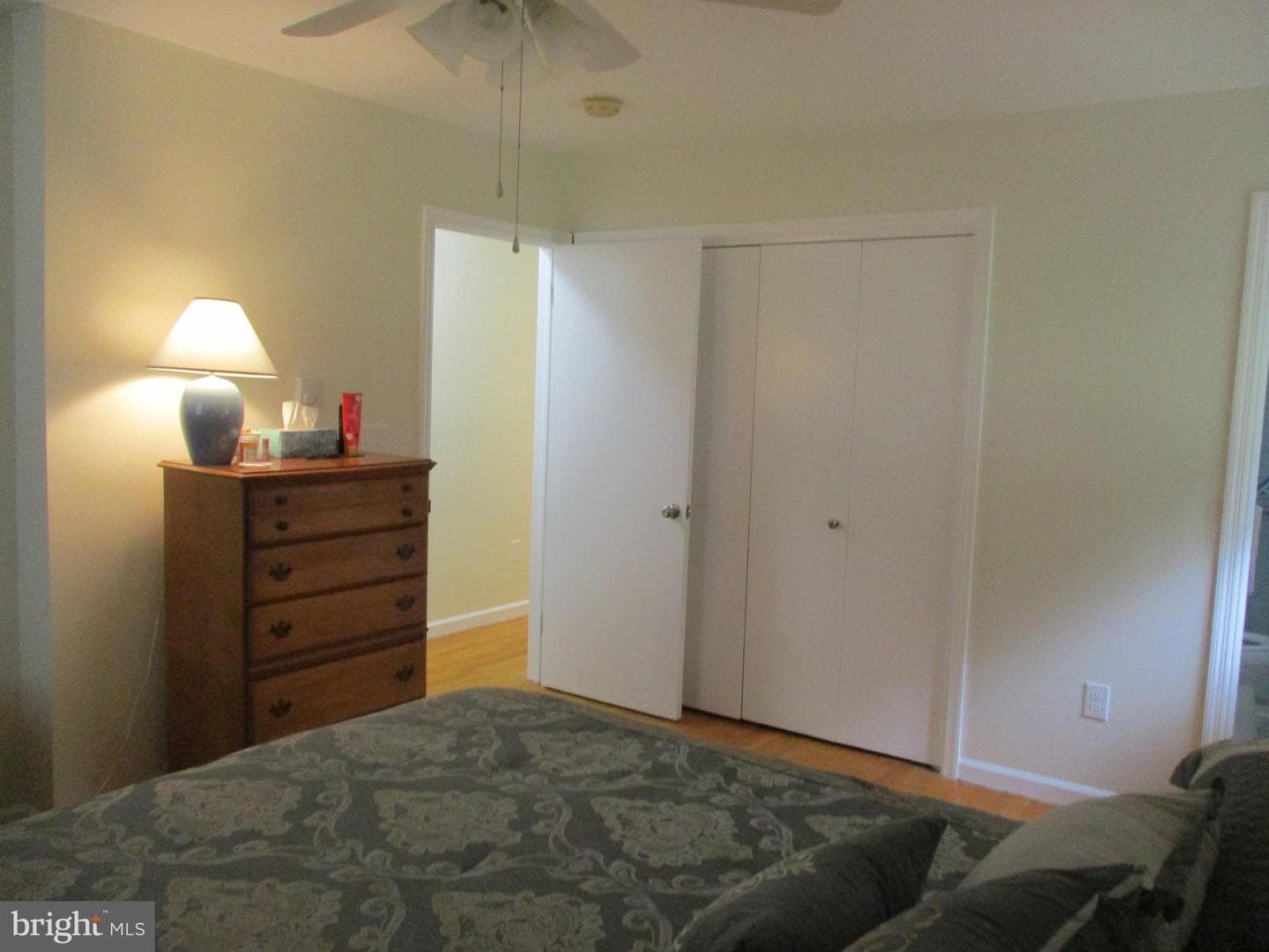 168 Shellbark Lane photo 40