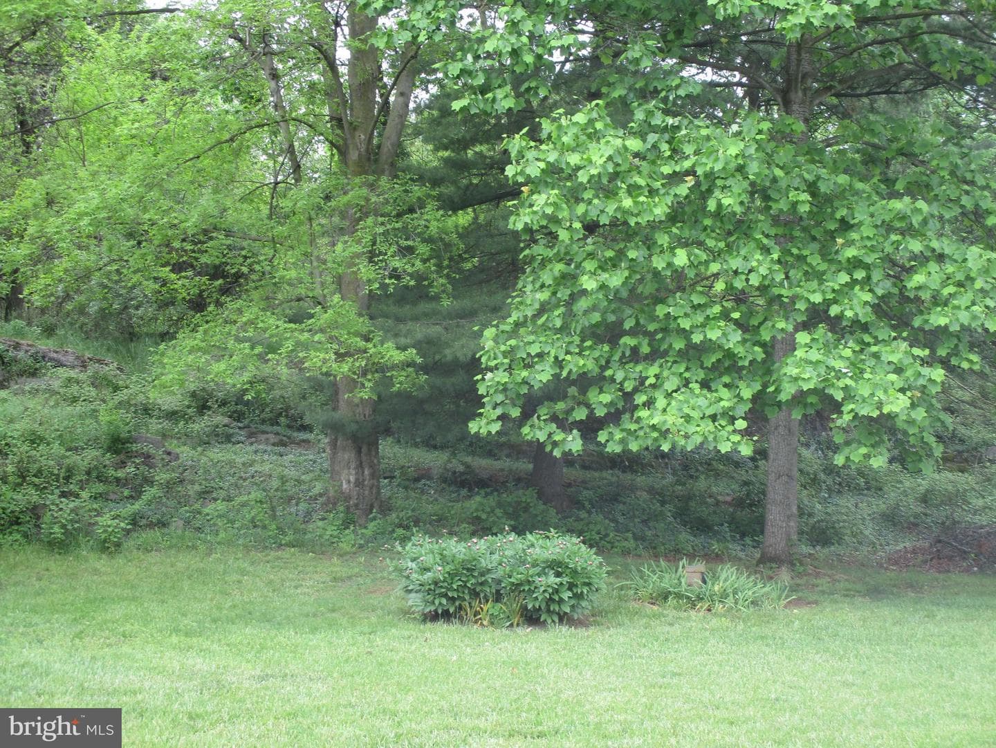 168 Shellbark Lane photo 7