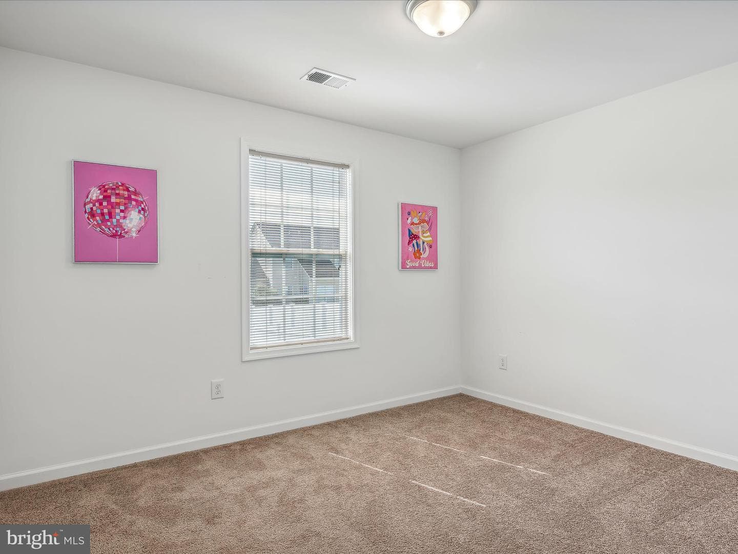 172 Corbin Heights Way photo 20