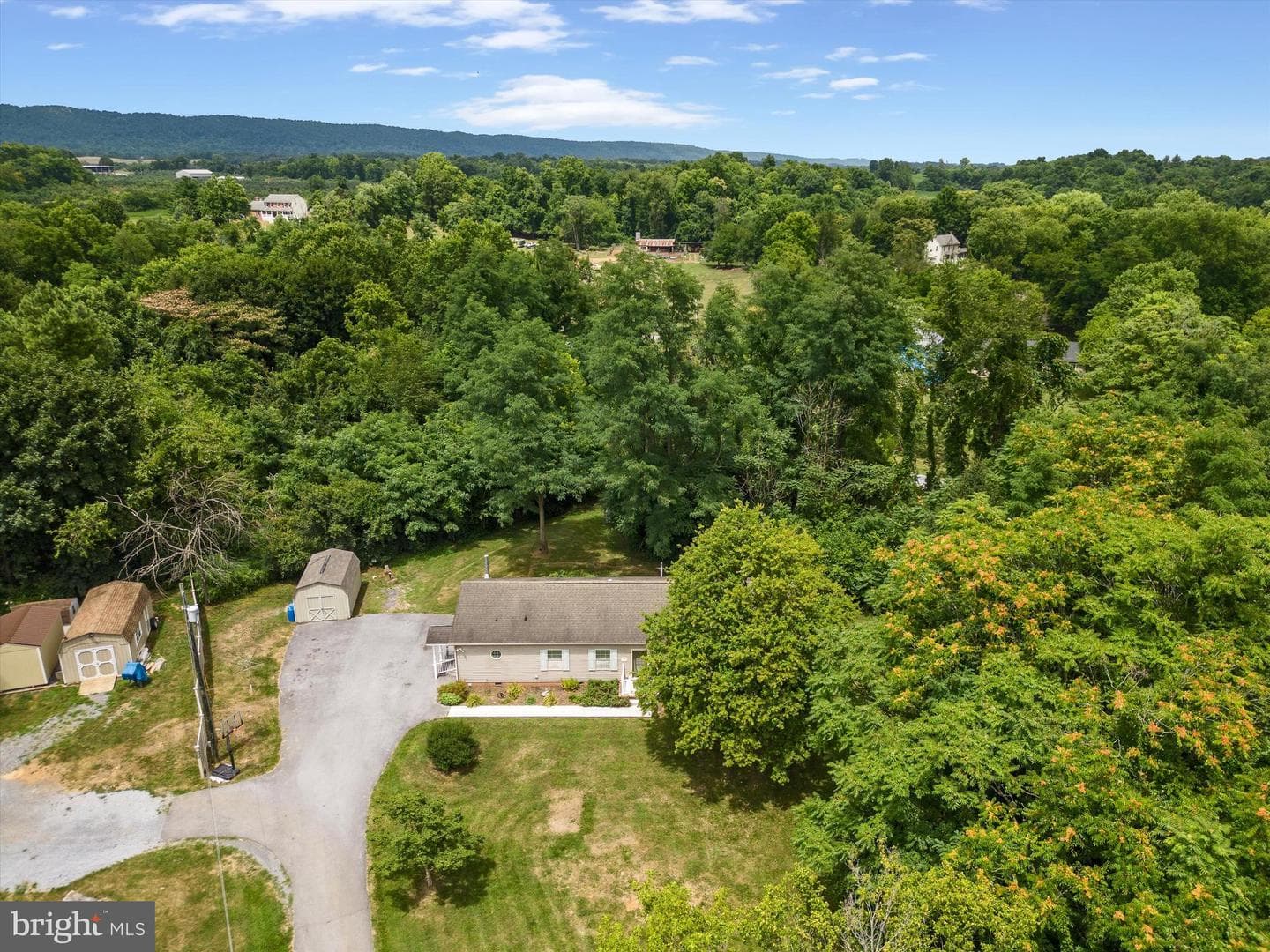 244 Sharons Lane photo 40