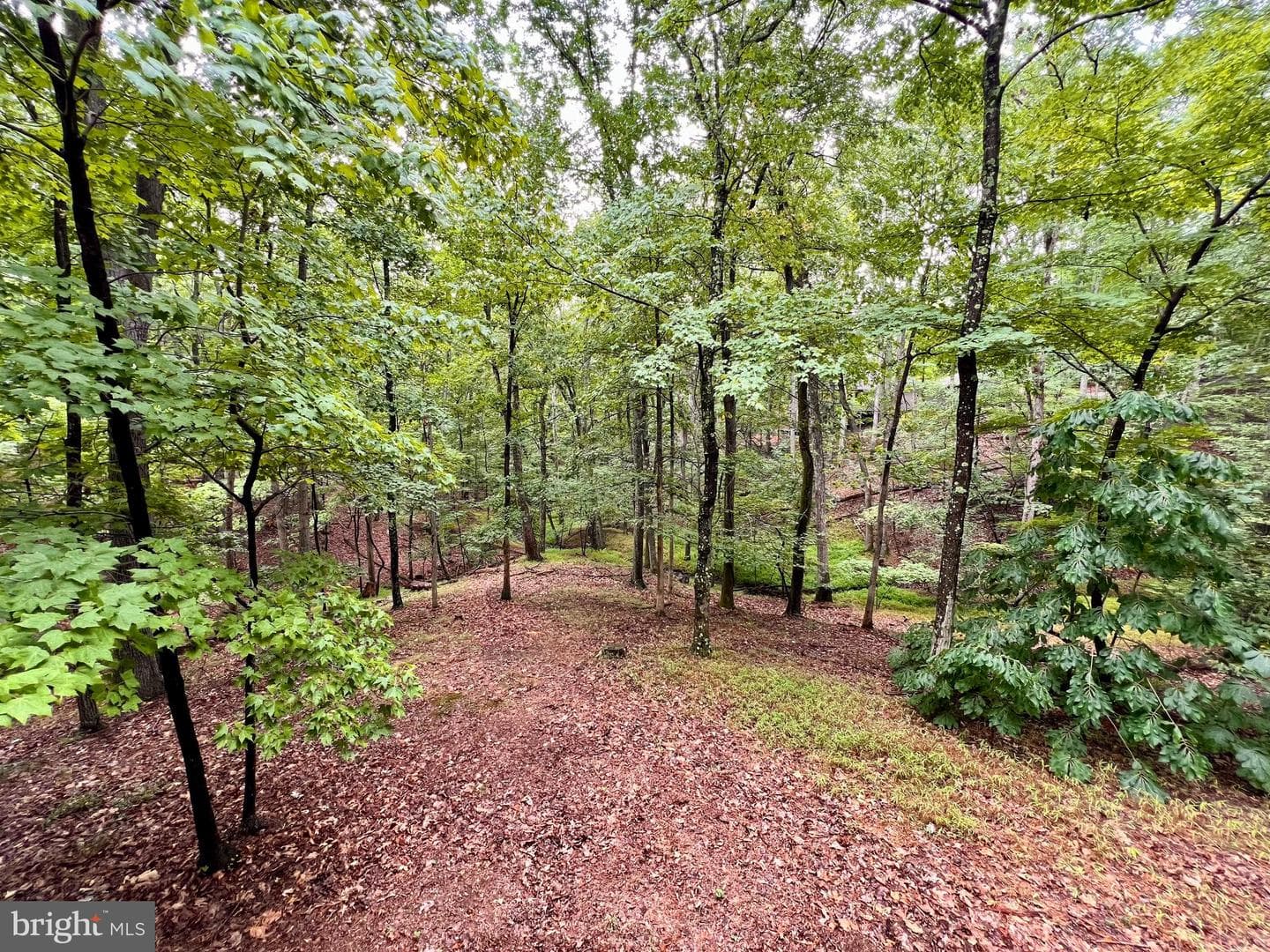 83 Chippewa Trail photo 22