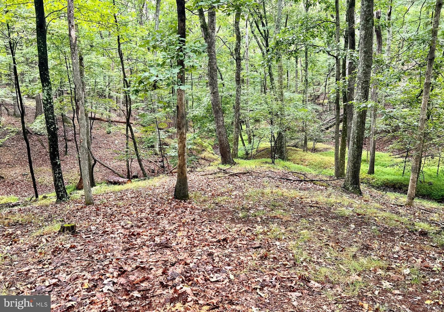 83 Chippewa Trail photo 23