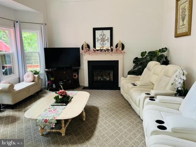 374 Braeburn Drive photo 30