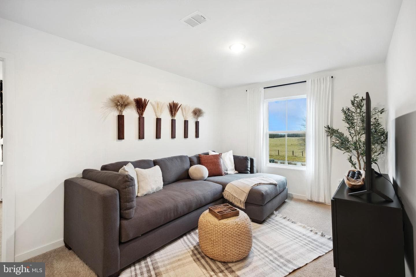 Tbd (Site 199) Whimbrel Road photo 50