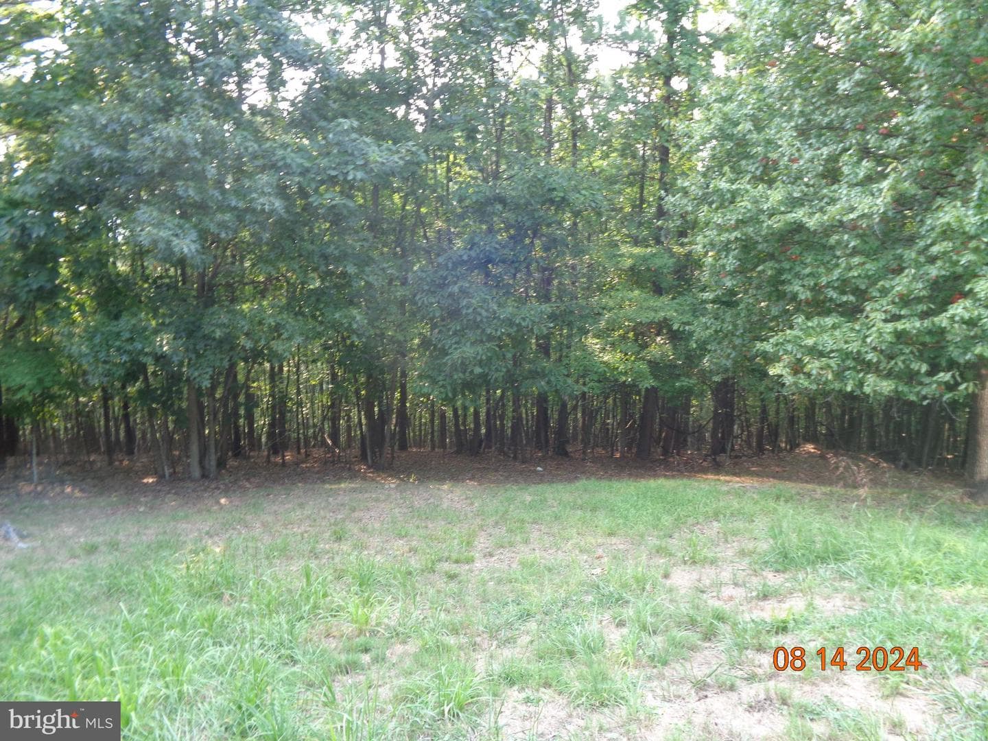 2803 Cheyennes Trail photo 33