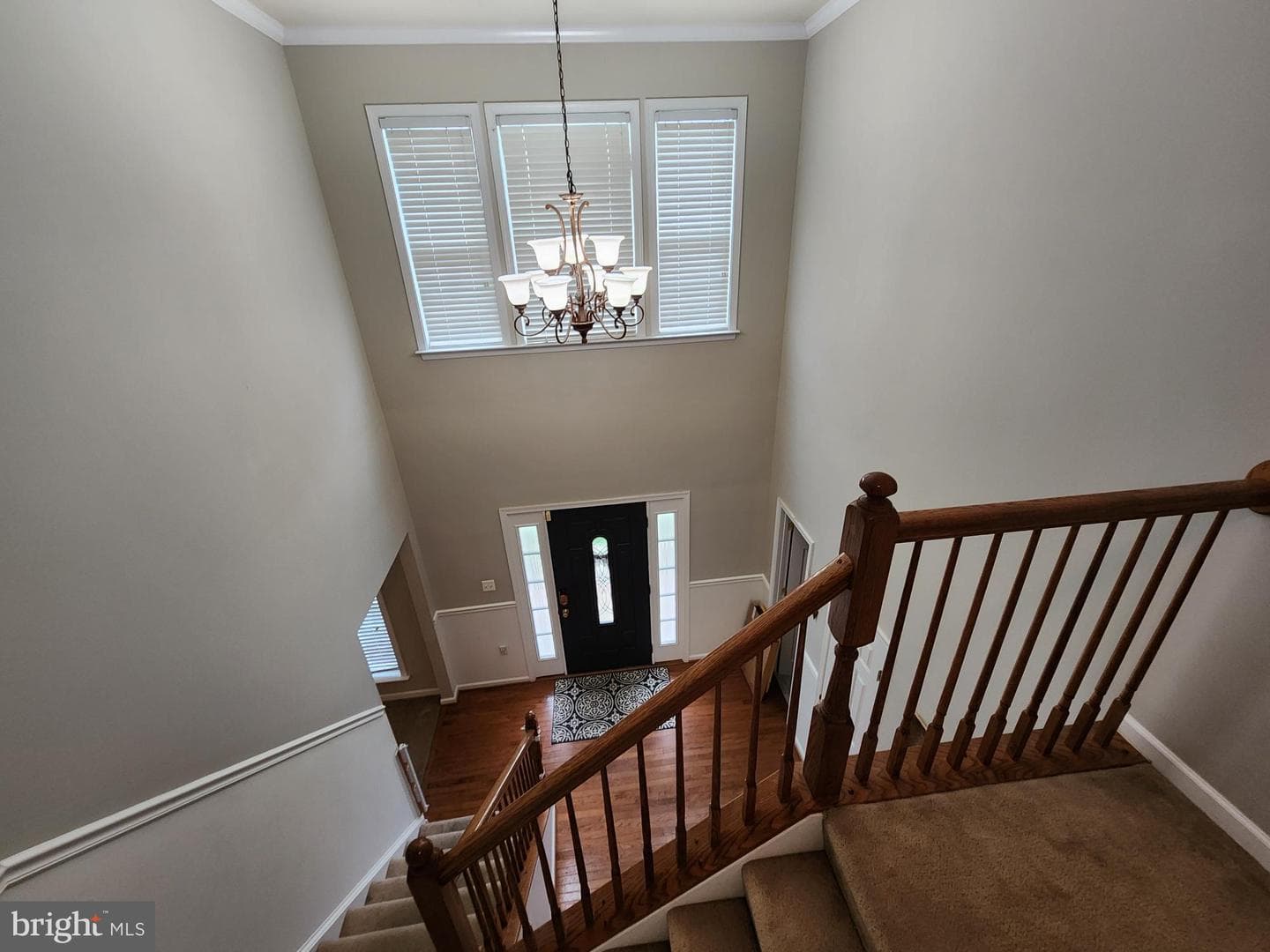 393 Quality Terrace photo 21
