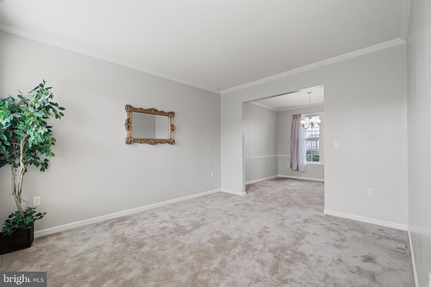846 Calvert Circle photo 7
