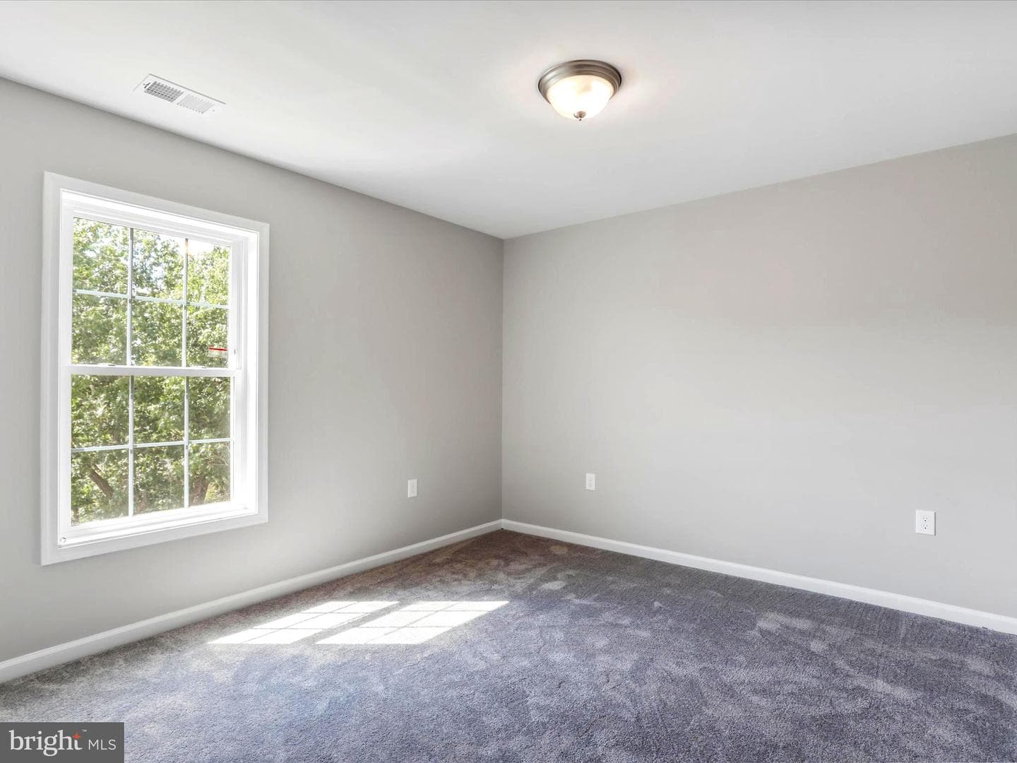 356 Europa Way photo 29