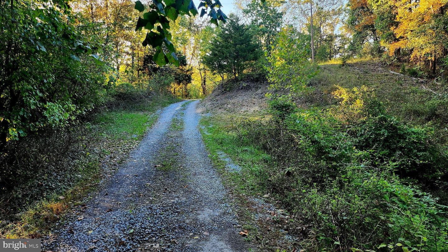 3604 Swinging Bridge Road photo 23