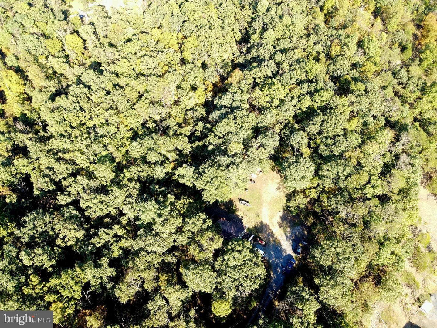 3604 Swinging Bridge Road photo 27