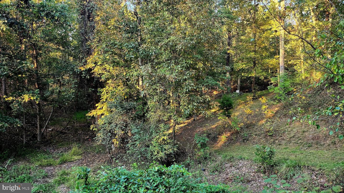 3604 Swinging Bridge Road photo 28