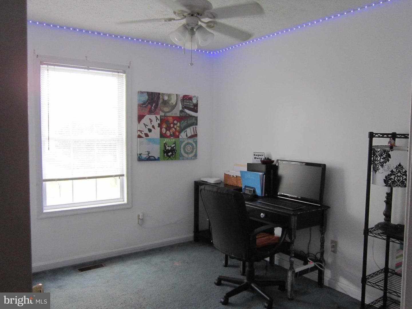 137 Isaac Drive photo 14