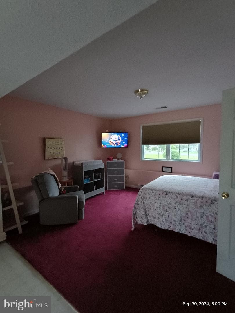 137 Isaac Drive photo 36