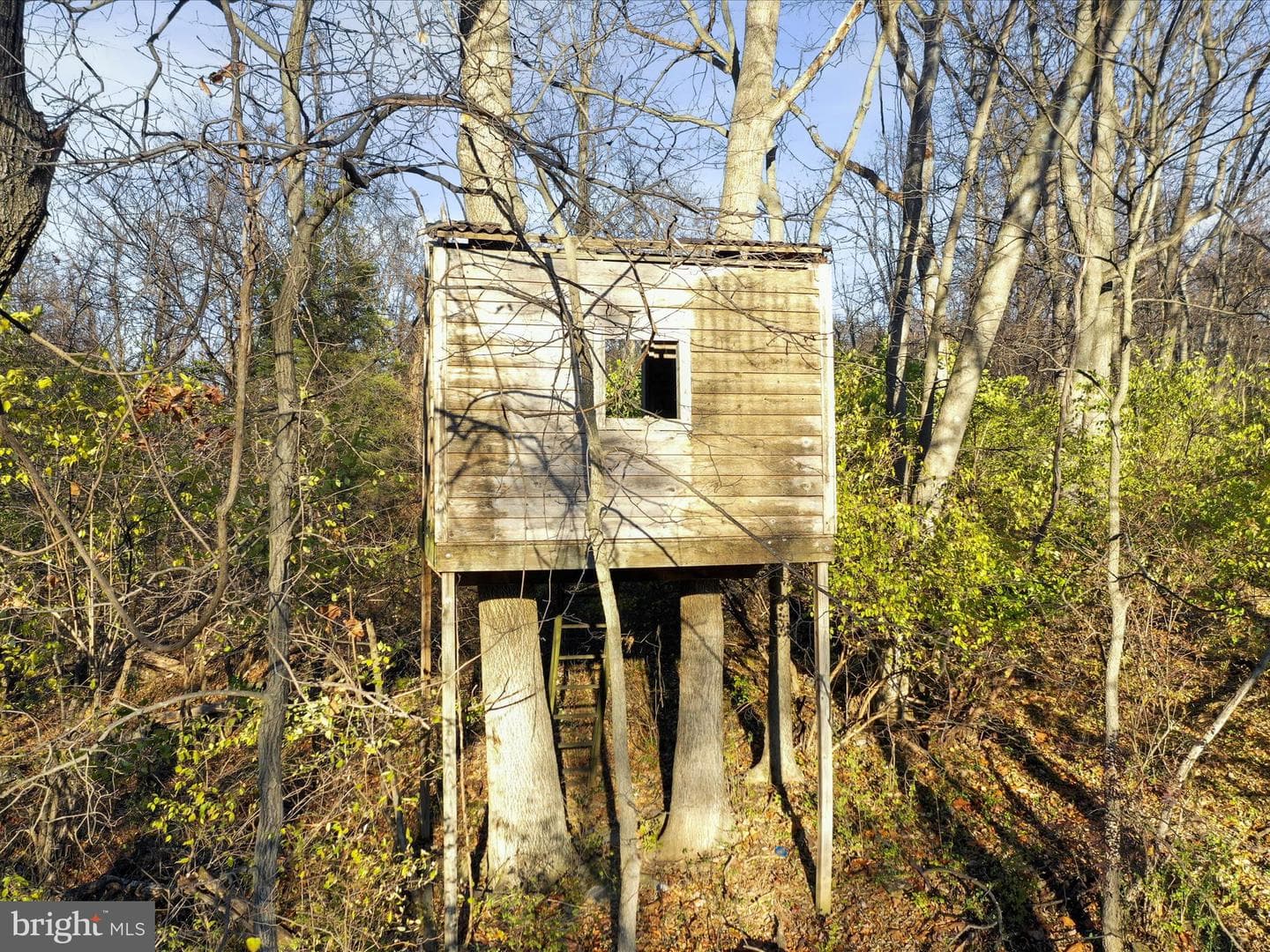 439 McDonald Drive photo 71