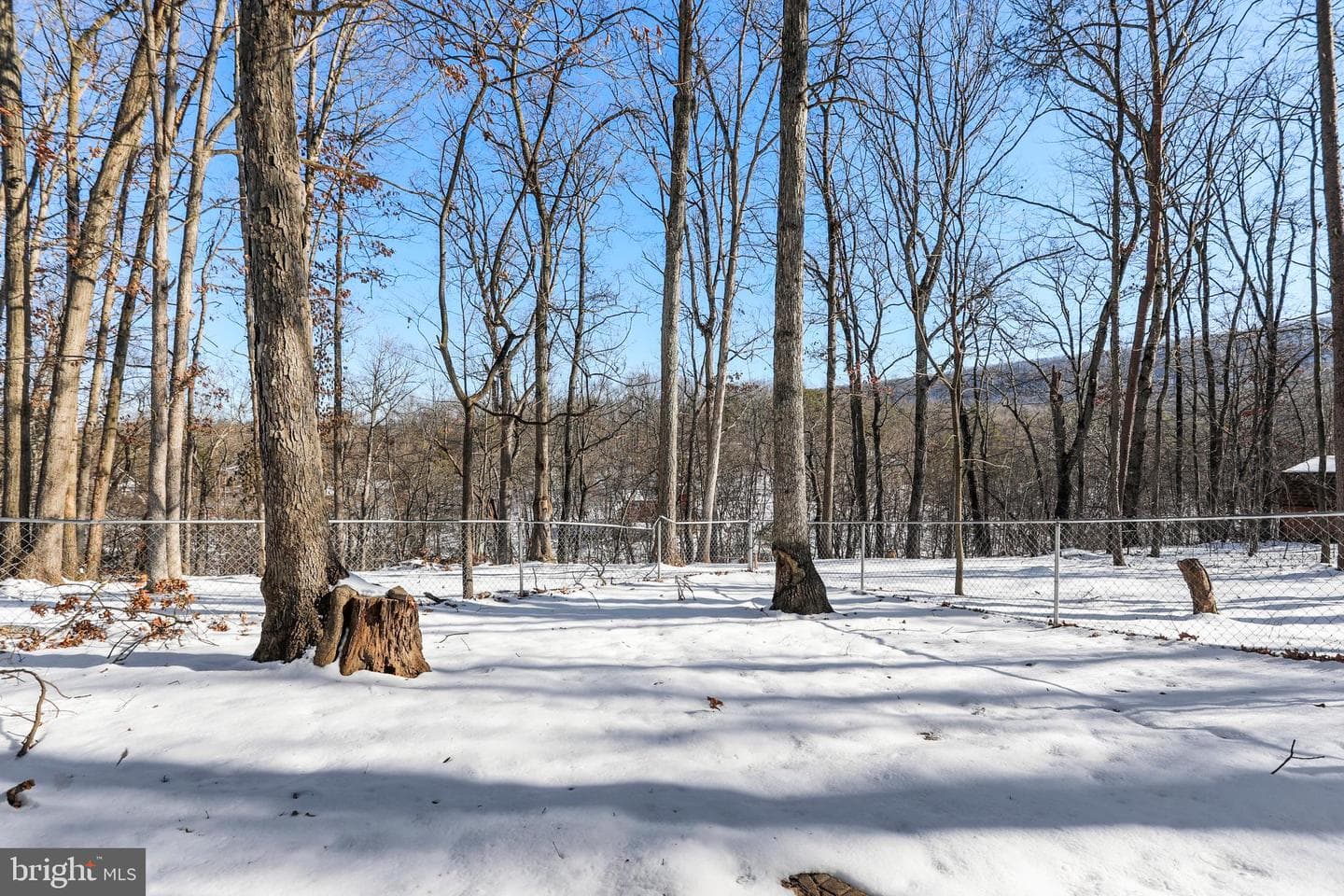 246 Persimmon Lane photo 42