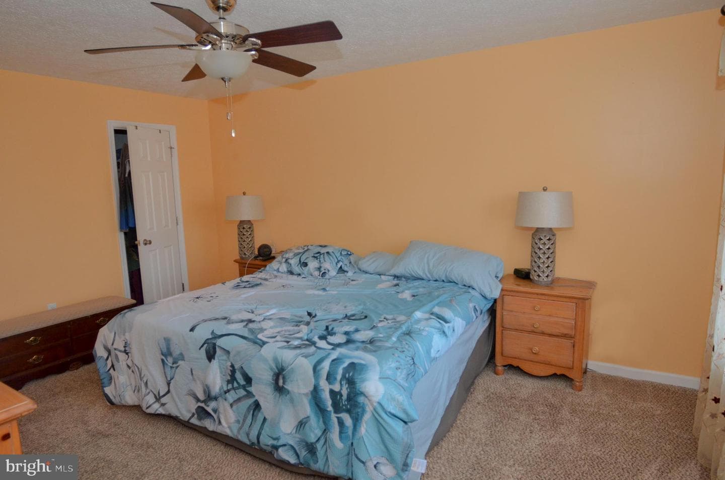 786 Ives Street photo 13