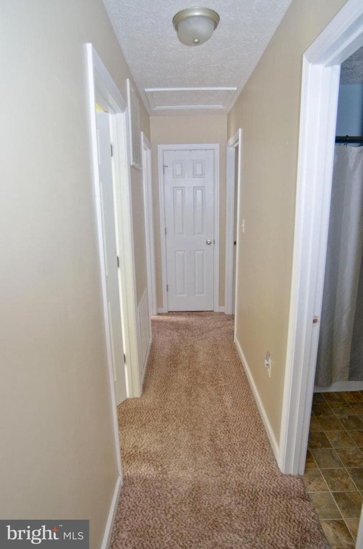 786 Ives Street photo 6