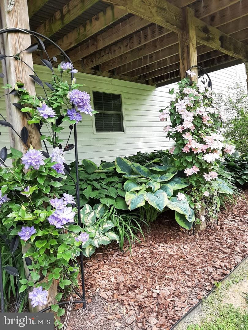 134 Lair Way photo 28