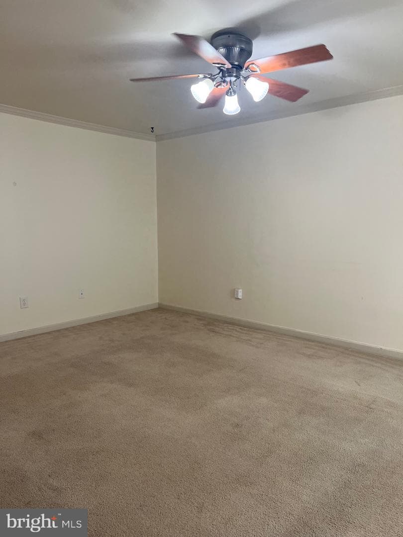 820 Marquette Drive photo 3