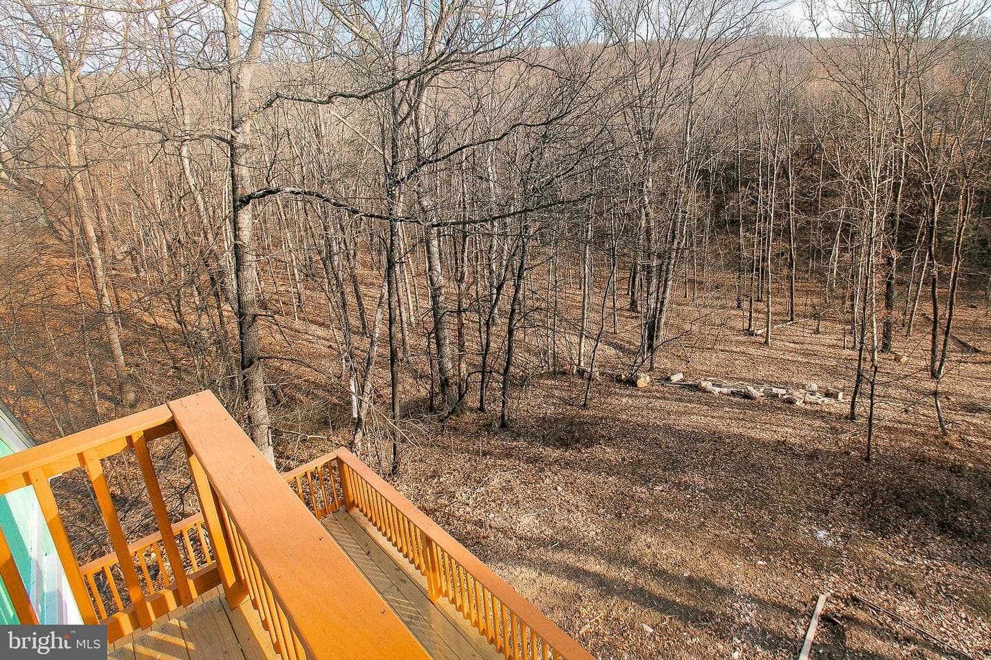 77 Tall Pine Lane photo 29