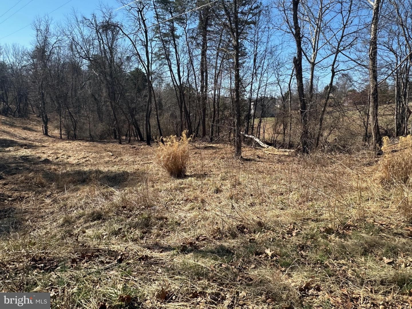 Lot 2 Buck Hill Road photo 19